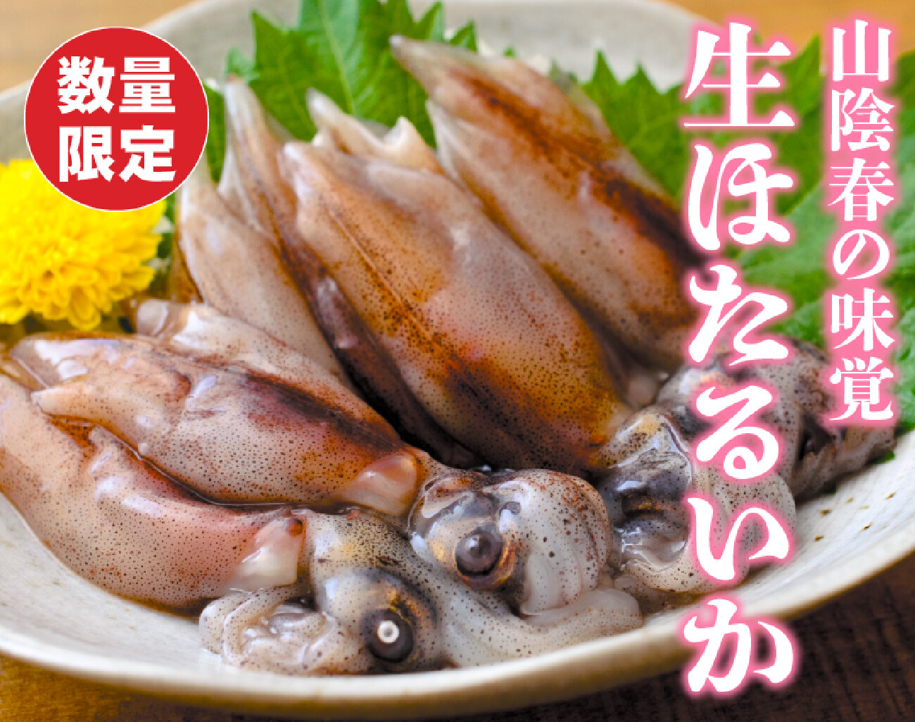 生ベイカ300g. - 魚介類(加工食品)